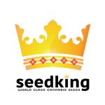 The Golden Rule Coupon Codes 