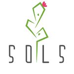 Magic Sleek Coupon Codes 