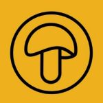 IWOXS Coupon Codes 