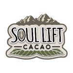 Sonic Acoustics Coupon Codes 
