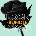 Base Coupon Codes 