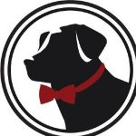 Fantech Coupon Codes 