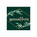 SendOutCards Coupon Codes 