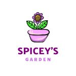 SPIER & MACKAY Coupon Codes 