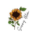 Greylin Coupon Codes 