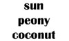 Evershop Coupon Codes 