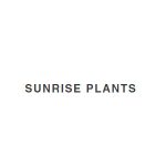 Sunrise Plants