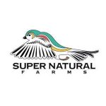Nature Beads Coupon Codes 