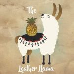 The Dragon Shop Coupon Codes 