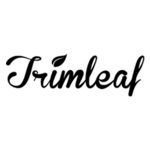 TinyDeal Coupon Codes 