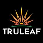 Bulbtronics Coupon Codes 