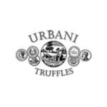 Deals24.Today Coupon Codes 