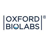 Ableneed Coupon Codes 
