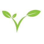 Y1sport Coupon Codes 