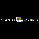 Oomosoundusa Coupon Codes 