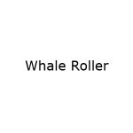 Rebelle Pads Coupon Codes 