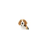 Quickway Imports Coupon Codes 