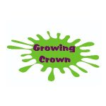 Tween Xstream Coupon Codes 