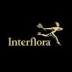 Interflora.co.za