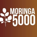 Moringa Life Coupon Codes 