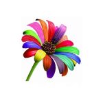 Tip Top Tools Coupon Codes 
